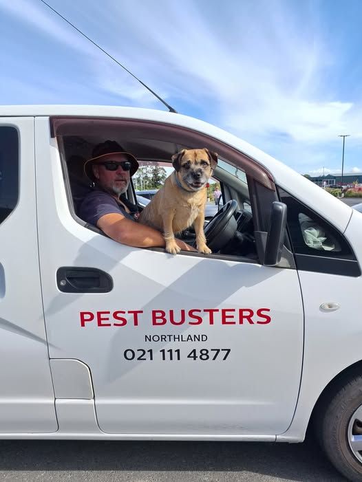 The Pest Busters van with the owner and his dog at the wheel